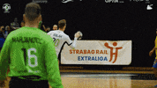 Celebrate Czech Republic GIF by HCB Karviná