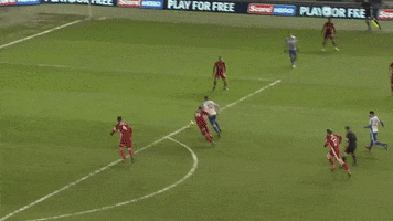 Soccer Futbol GIF by Brighton & Hove Albion Football Club