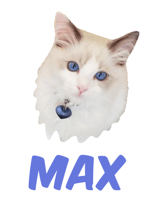 Cat Max Sticker