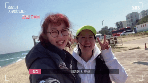 stevefrank1 giphyupload GIF