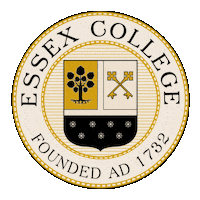 Slocgonhbomax Sticker by HBO Max