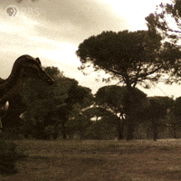 Walking With Dinosaurs Dinosaur GIF by PBS