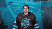 San Jose Idk GIF by San Jose Barracuda