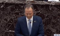 Adam Schiff GIF by GIPHY News