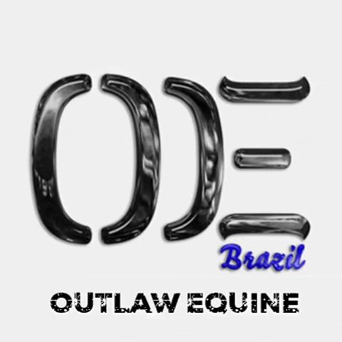 OUTLAWEQUINEVET giphygifmaker oe abqm outlaw equine GIF