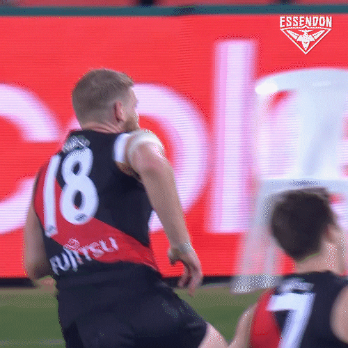 Happy Essendon Bombers GIF by Essendon FC