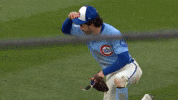 High Five Chicago Cubs GIF by TheDreamTeam 
