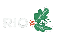 Riokids Sticker by Iglesia RIO Internacional