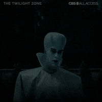 The Twilight Zone: "You Might Also Like" - Stare