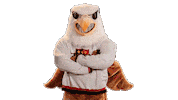seton hill griffin Sticker by Seton Hill University