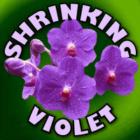 Violet Retiring GIF