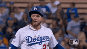 major league baseball sport GIF by MLB
