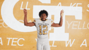 Georgia Tech Football GIF by Georgia Tech Yellow Jackets