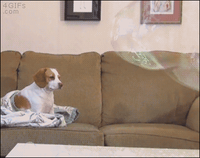 tired don't care GIF
