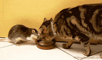 life advice GIF
