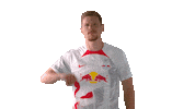 Come On Football Sticker by RB Leipzig