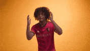 Vamos St Louis GIF by St. Louis CITY SC
