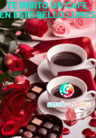 Amigos Chocolates GIF by Murcianys LLC