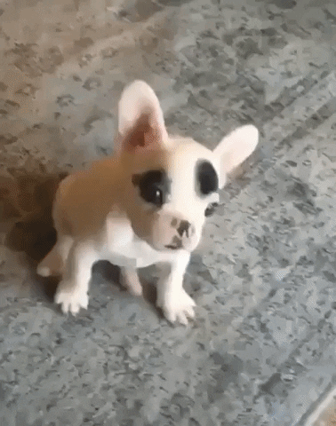 jermbly giphyupload GIF