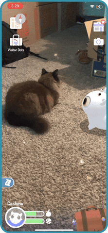 kamapota giphyupload GIF