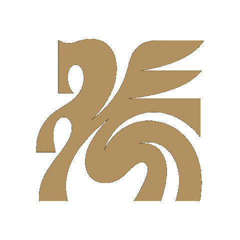 trinityfc giphyupload dallas womens soccer usl Sticker