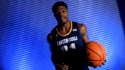 Gomocsmbbncaa GIF by Chattanooga Mocs