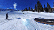 Ski Skiing GIF