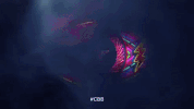 celebrity big brother GIF