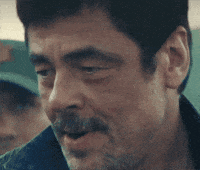 Benicio Del Toro GIF by slicedbread