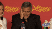 pieorama pieoramafun make-america-fun-again equal-opportunity-pie-exchange GIF