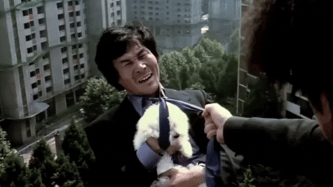 linar_f giphyupload GIF