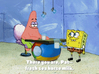 season 4 episode 3 GIF by SpongeBob SquarePants