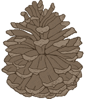 jessnicolehandmade forest woodland pinecone pine cone Sticker
