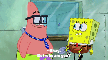 season 9 episode 13 GIF by SpongeBob SquarePants
