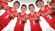 Msummbb GIF by MSUM Dragons