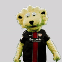 europa league yes GIF by Bayer 04 Leverkusen
