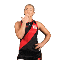 Football Sport Sticker by Essendon FC