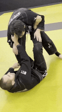 Black Belt Jiu Jitsu GIF by Brazilian Top Team