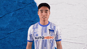 South Korea Love GIF by Hertha BSC