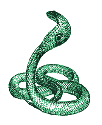 Maldigo Del Alto Cielo Snake Sticker by violeta.exa