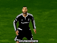 Ricardo Quaresma GIF