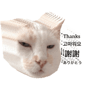 Cat Thank You Sticker