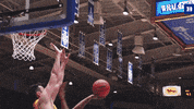 Blue Devils Hoops GIF by Duke Men's Basketball