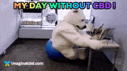 Sad Bad Day GIF by Imaginal Biotech