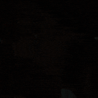 Flightreacts GIF
