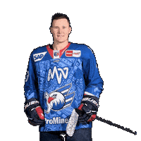 Solow Sticker by Adler Mannheim