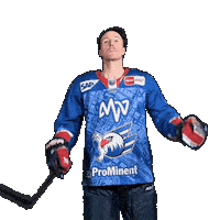 Dan Renouf Sticker by Adler Mannheim