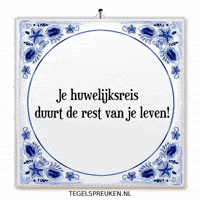 Humor Nl GIF by Tegelspreuken.nl