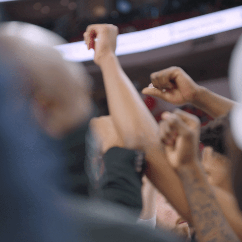 Nc State Sport GIF by NC State Athletics