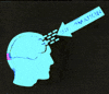 Studying College Life GIF